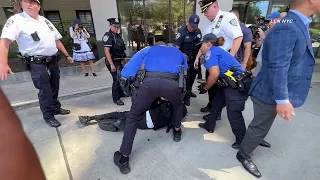 Counter-Protestors & Curtis Sliwa Arrested at Anti-Migrant Protest Gracie Mansion NYC 8.27.23