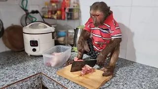 Monkey Abu cooks according to a special recipe