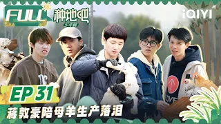 【MULTI-SUB】Become a Farmer EP31 | FULL 种地吧 | iQIYI