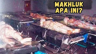 BIKIN MERINDING! Penemuan Makhluk Berbentuk Aneh ini,Bikin Peniliti Terkejut! Seperti Ini Wujudnya