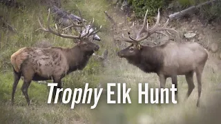 BIG Bulls! Elk Hunting Colorado - Eastmans’ Hunting TV