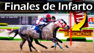 Mejores FINALES NARRADOS en el Hipódromo la RINCONADA (Y las últimas Carreras TE Sorprenderá Mucho)