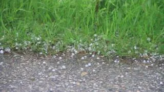 Hagel am 11.05.2010