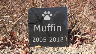 How to Make a Granite Marker for Your Pet's Grave