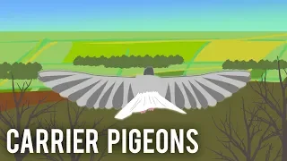 Carrier Pigeons (World War I)