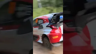 Kalle Rovanperä Flat Out WRC Estonia Rally Toyota GR Yaris Rally1