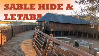 Sable Sleepover Hide & Letaba weekend trip | Kruger National Park