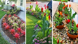 44 Spring Garden Ideas: Transform Your Outdoor Space into a Floral Paradise!