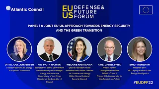 A Joint EU-US Approach Towards Energy Security and the Green Transition