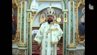 Проповідь Високопреосвященного митрополита Димитрія у день свята Преображення Господнього