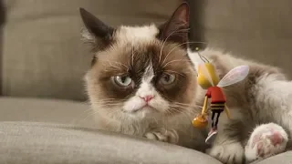 Коты приколы смешно до слез видео бесплатно 2019 - Смешные кошки МатроскинТВ