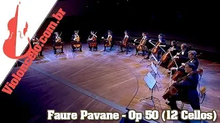 Faure Pavane - Op. 50 (12 Cellos)