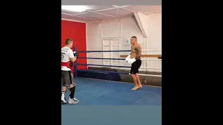 Darko Stosic boxing workout