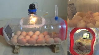 How To Make a Home Incubator Simple And Easy | جعل حاضنة المنزل بسيطة وسهلة