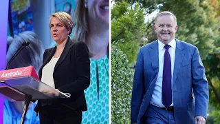 Tanya Plibersek to launch Labor leadership bid