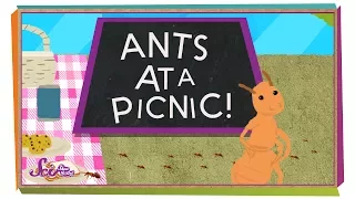 How Do Ants Find Food? | Animal Science for Kids