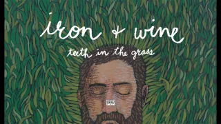 Iron & Wine - Teeth in the Grass