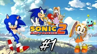 Sonic Advance 2 (GBA) | Прохождение #1 [Зоны 1 & 2]
