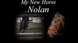 My New Horse Nolan