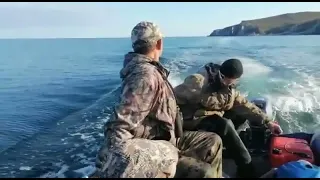 Косатка напала на рыбаков в Охотском море недалеко от Магадана