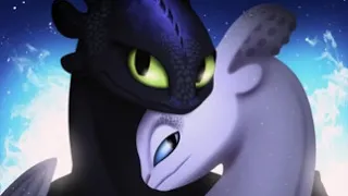 Toothless and the light fury