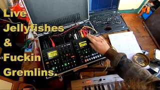 Digitakt Digitone Jellyfishes & Fuckin' Gremlins Live