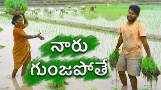 Village paddy farming | my village show sankranti special comedy