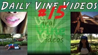 Daily Vines Compilation #15 | Best of Vine!