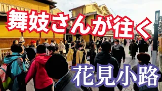 舞妓さんが往く花見小路　人気舞妓さんが通れば誰もが振り返る　京都祇園花街　2024年新年　maiko＆geisha