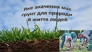 Урок 47. "Яке значення має ґрунт для природи й життя людей?" Я досліджую світ 3 клас