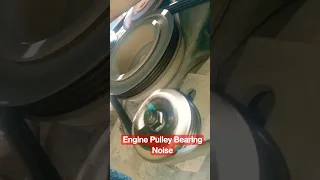 Bad Pulley Bearing Symptoms Tensioner Pulley Noise fix 😱 #carsafety #car #automotivecare #shorts