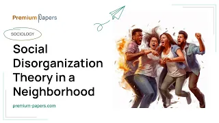 Social Disorganization Theory in a Neighborhood - Essay Example