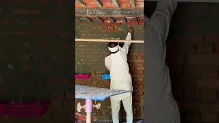 Pigeons Master Loft🕊️ #shorts #pigeon #sidhumoosewala #kabutar #viral #punjab