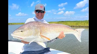 Sight Casting Bullreds on the Fly | Cocodrie Louisiana with Marsh Dawn Guide Service