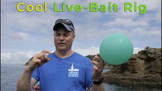 Kingfish Live bait balloon rig to stop polluting the ocean.