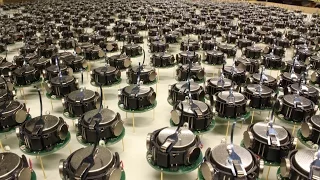 Harvard Unleashes Swarm of Robots