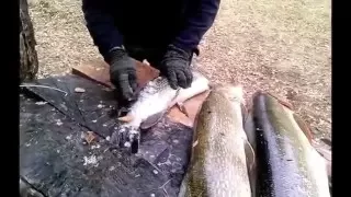 Нож настоящего рыбака