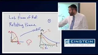 Introducing MRI: Transverse Magnetization Relaxation (10 of 56)