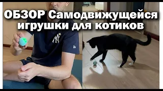 Распаковка электронной игрушки для котиков | zubarefff | Зубарев #обзор #кот