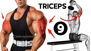 9 Best Exercises To Get Big Triceps - ReGrowing Workout