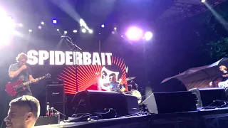 Spiderbait | Live | SummerStage Central Park NYC | June 17, 2023