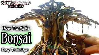 How to Make a Bonsai Tree For Aquascape - Hardscape Bonsai