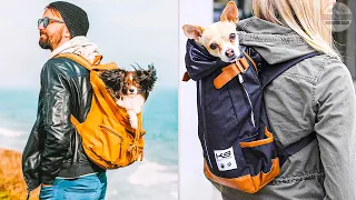 Best Dog Backpack Carriers 2023 -  Top 5 Best Dog Carrier Backpacks for Hiking