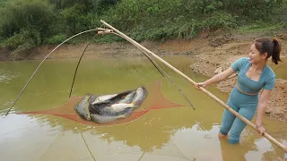 Harvesting Fish - cast net fishing video to catch many big fish, Fishing Daily Life