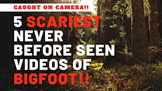 5 Scariest NEVER Before Seen Videos of BIGFOOT!!