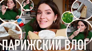 🧀🇫🇷САМЫЕ ПОПУЛЯРНЫЕ СЫРЫ ВО ФРАНЦИИ, И КАК ПРАВИЛЬНО ИХ ЕСТЬ♥️