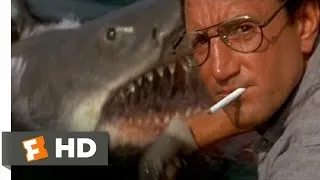 Jaws (1975) - You're Gonna Need a Bigger Boat Scene (4/10) | Movieclips