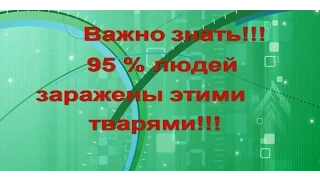 Паразиты внутри человека  Важно знать