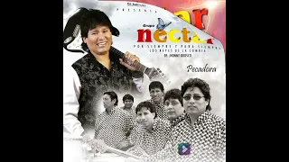 🇵🇪GRUPO NECTAR MIX SUS MEJORES EXITOS VOL.2🇧🇴