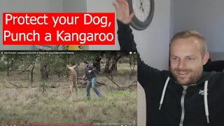 Rob Reacts to... Man Punches a Kangaroo in the Face to Rescue His Dog